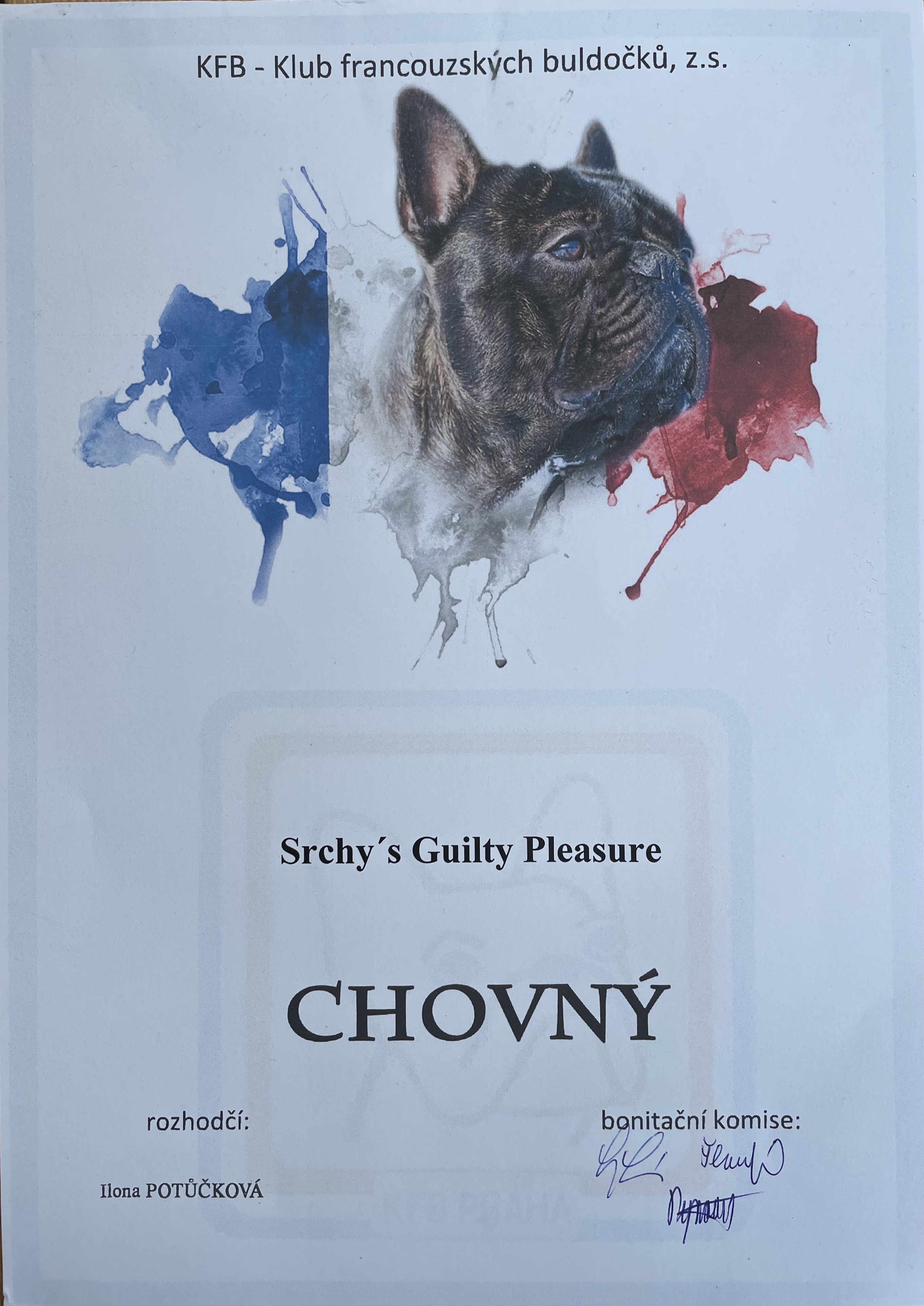 Certifikat chovnosti Srcky's Guilty Pleasure